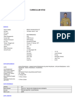 Curriculum Vitae