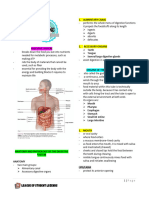 Digestive System (Reviewer)