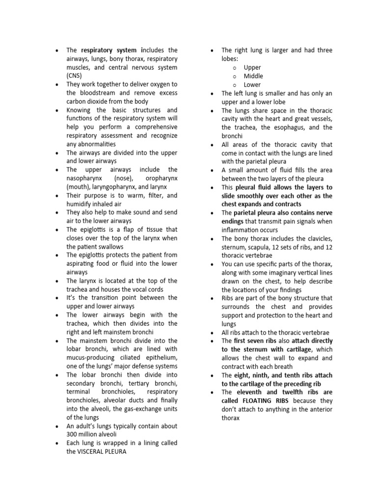 Understanding Even Unlabored Respirations The Ultimate Guide - 8cp3p1x