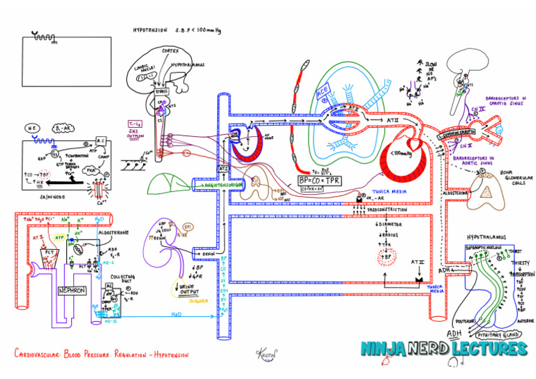 Blood intelligence overview