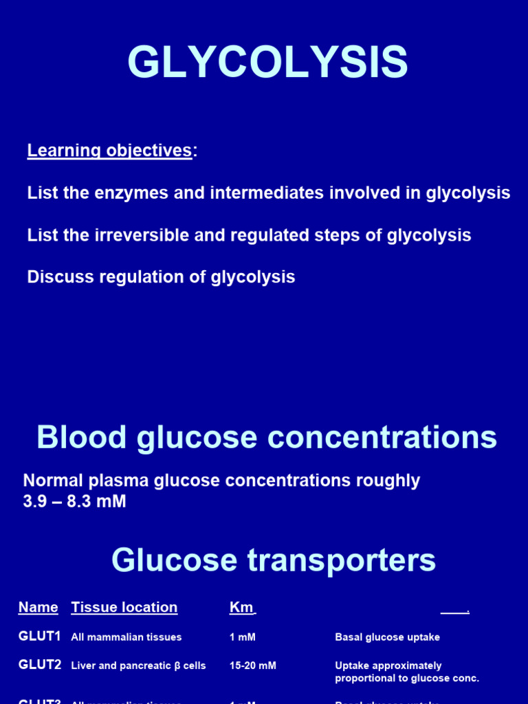 oxidative-metabolism-pdf-glycolysis-adenosine-triphosphate