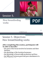 Bfhi-Session-5-How Breastfeeding Works
