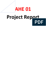 AHE 01 Project Report