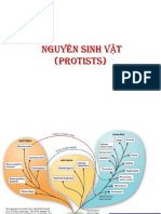 9-10.Nguyên sinh vật