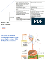 Emésztés - Felszívódás