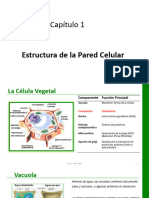 Cap 1 - Estructura de La Pared Celular