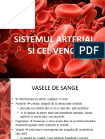 AFO 8.3. Sistemul Arterial Si Cel Venos