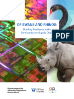 Swans and Rhinos WEB