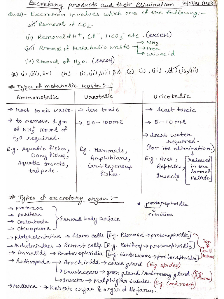 Excretory Products And Their Elimination Ncert Based Notes Pdf