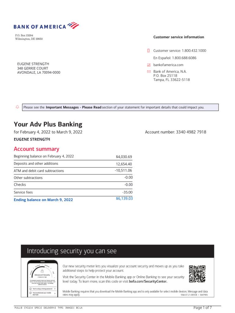 Bank of America Account Statement PDF Overdraft Transaction Account