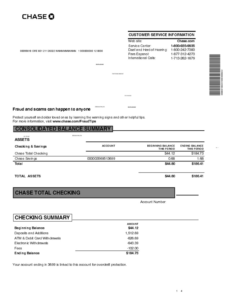 Chase Bank Statement PDF Transaction Account Overdraft
