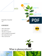 Photosynthesis: Prepared By: Raz Jawhar 9-A