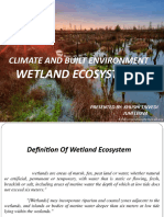 Climate Wet Land Eco System