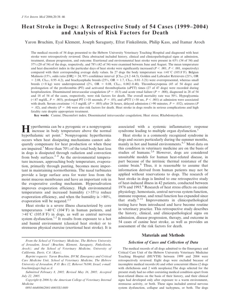 The Rise of DeviantArt: A 2004 Retrospective