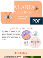 Malaria o Paludismo