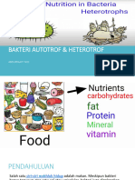 Bakteri Autotrof Dan Heterotrof - 4