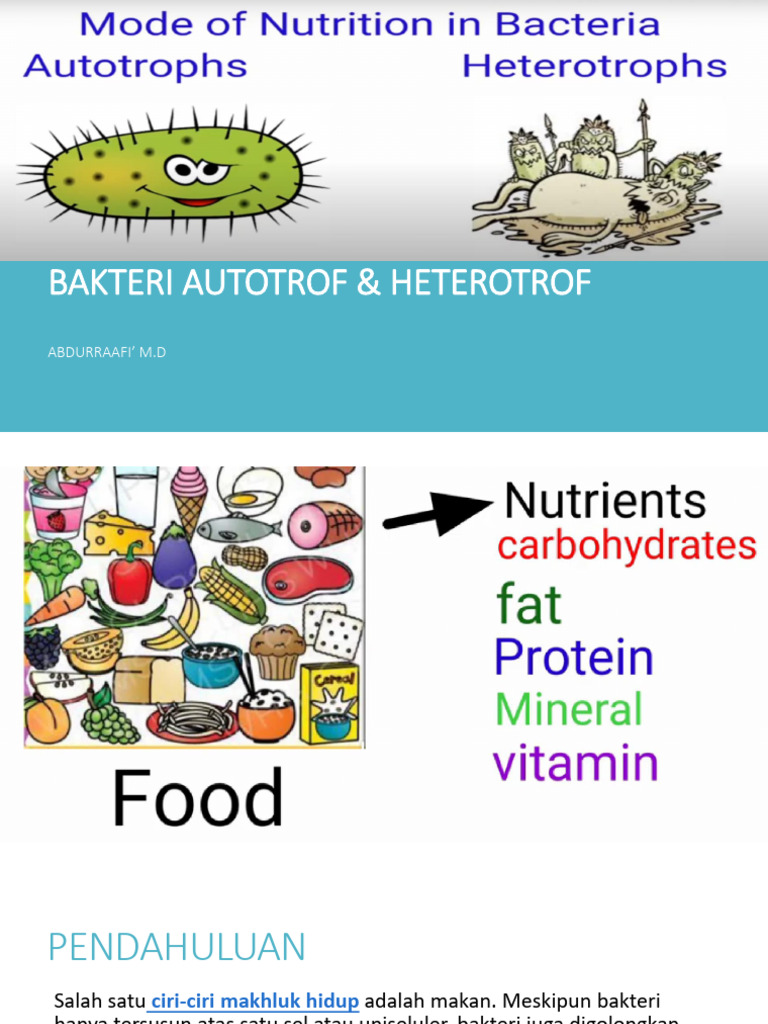 Bakteri: Autotrof vs Heterotrof | PDF