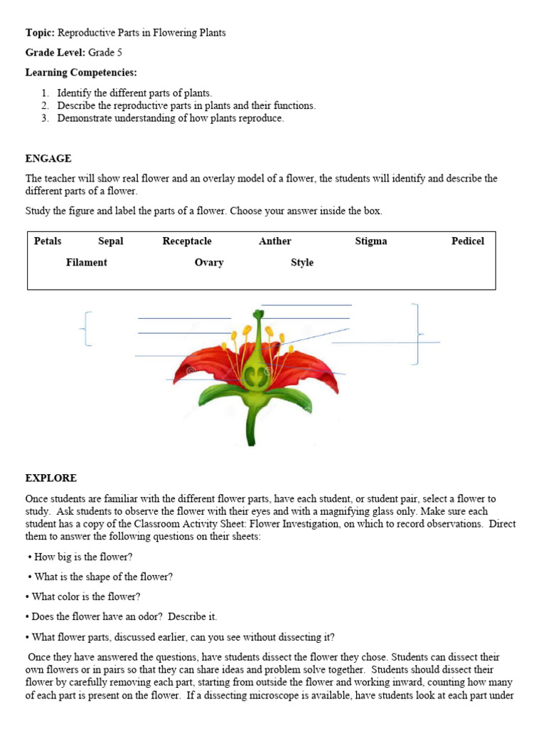 Parts and Function of Plants | PDF | Flowers | Pollination