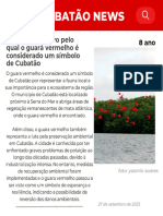 Cubatão News PDF