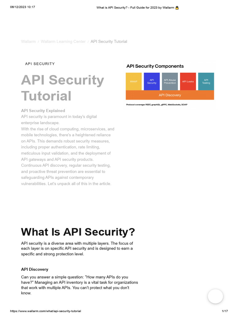 What Is API Security - Full Guide For 2023 by Wallarm | PDF | Security ...