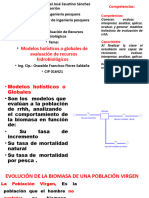 Modelos Holisticos o Globales