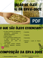 Extração de Óleo Essencial Da Erva-Doce