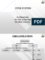 Motor System: DR - Ahmed Gaber Ass. Prof of Neurology Ain Shams University