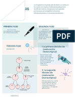 Blue and Green Self-Quarantine Guidelines Coronavirus Poster