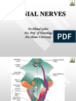 Cranial Nerves: DR - Ahmed Gaber Ass. Prof of Neurology Ain Shams University