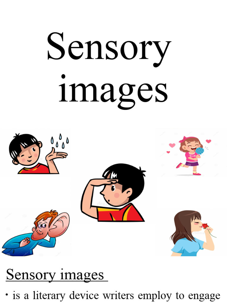 7 sensory riddles proverbs pdf senses taste