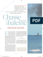 Chasse A La Baleine, L Epilogue Galicien