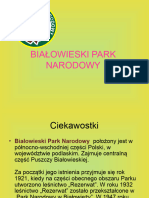Białowieski Park Narodowy Mateusz Sowiński