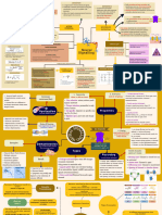 Bio621 Mind Map Chapter 3