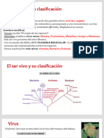 FISIOPATOLOGIA