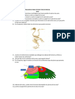 Aves Banco de Preguntas para Tercer Parcial