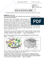 DEVOIR NIVEAU 2 1ère D PDF