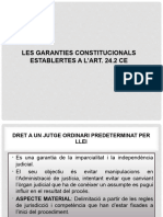 L-13 Garanties Constitucionals Art. 24ce-1