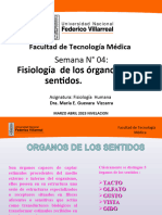 Clase 4 Fisiologia de Los Organos de Los Sentidos Unfv