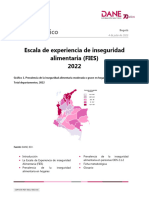 bol-FIES-2022.pdf Dane Inseguridad
