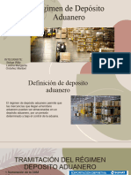 Regimen de Deposito Aduanero - PPT Control