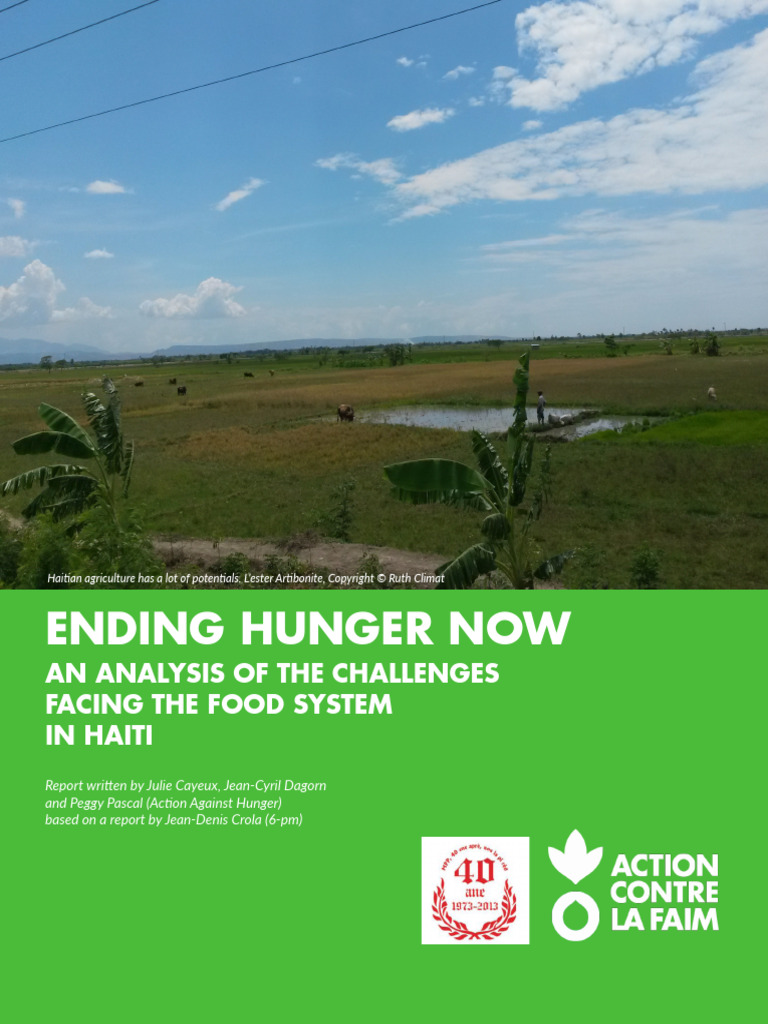 Ending Hunger Now An Analysis of The Challenges Facing The Food System ...
