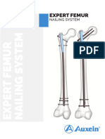 Expert Femur Nailing System