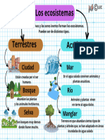 Esquema Tema 1 CC Naturales (2 Parte)