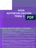 Guia Autoevaluacion Tema 3