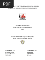 PDF Document