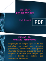 1.1. Anatomia Do Sistema Respiratorio