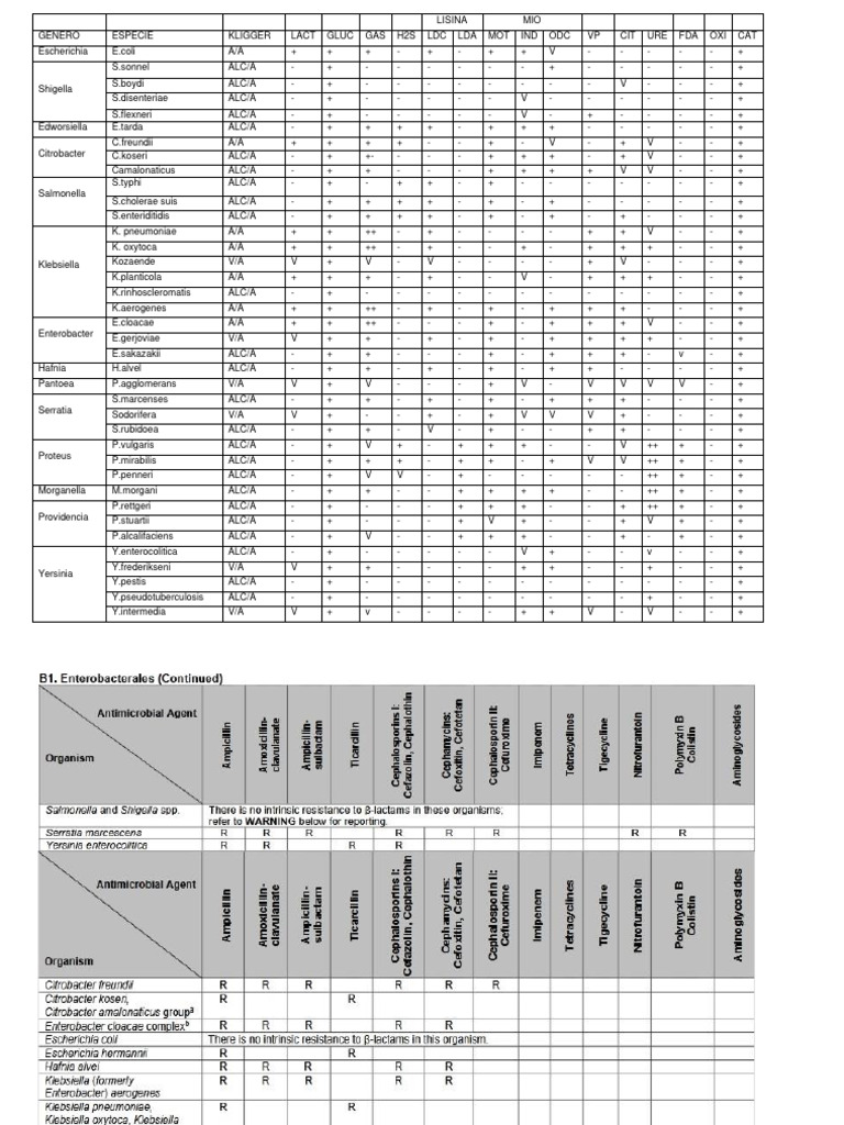 Caractéristiques biochimiques des bactéries | PDF | Prokaryota | Gram ...
