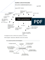 Synthese Enfant Perturbateur