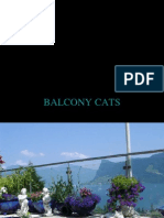 Cats Balcony