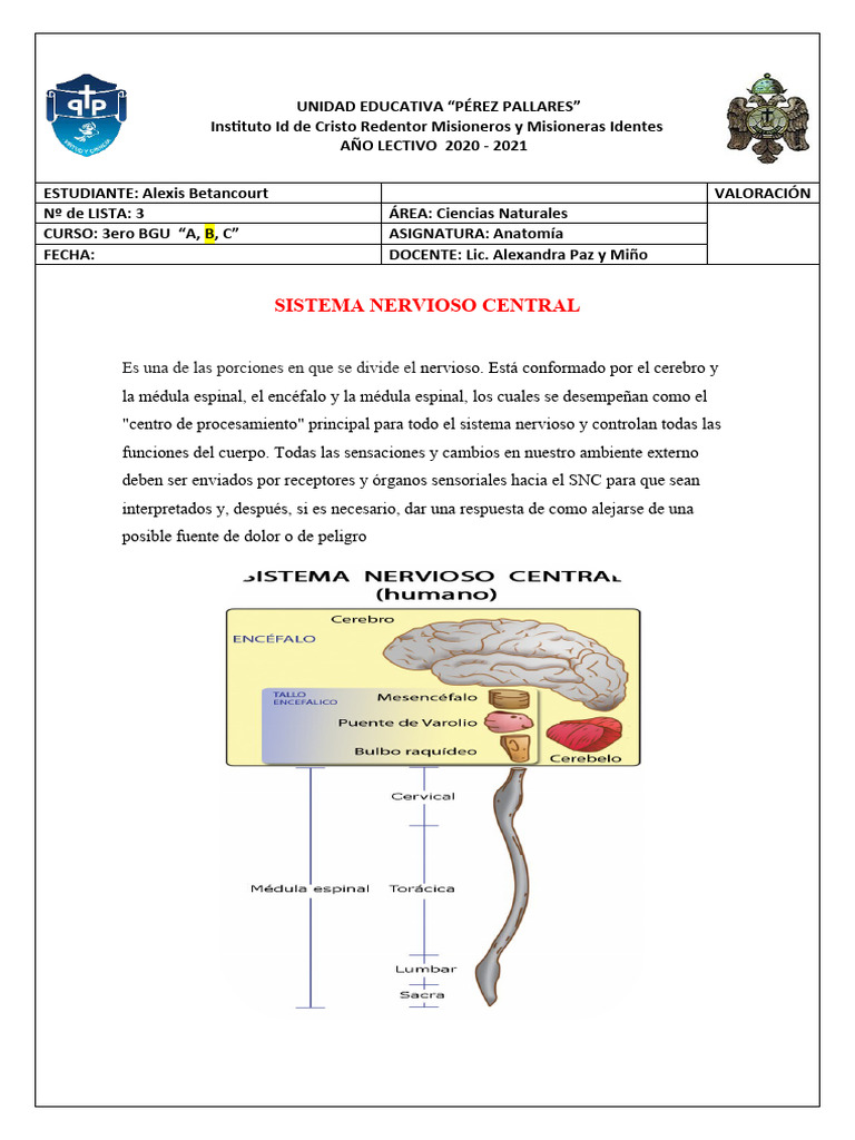 Sistema Nervioso Central Pdf